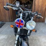 Betal-side-mirrors-1.jpeg