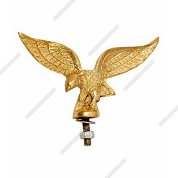 Eagle Flying Design For Front Mudguard