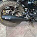 Globe-Dolphin-Chrome-Exhaust-For-Reborn-Meteor-4.jpg
