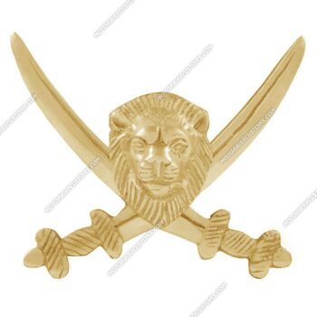 Lion with sword
