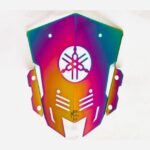 Rainbow-Multi-Color-Windshield-For-Yamaha-MT-15-4.jpeg